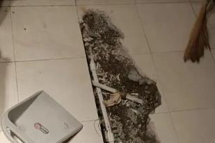 西青卫生间漏水检测电话